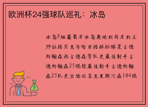 欧洲杯24强球队巡礼：冰岛